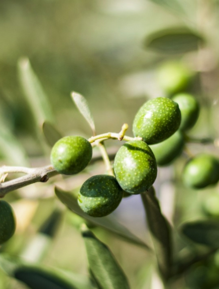 威尼斯87978797(中国)老品牌-官方网站