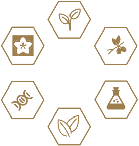 威尼斯87978797(中国)老品牌-官方网站